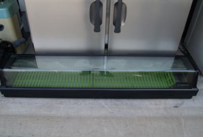 ホシザキ　ネタケース