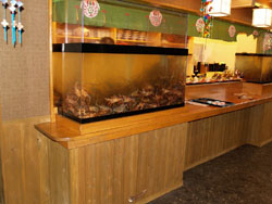 あじ咲く　水槽